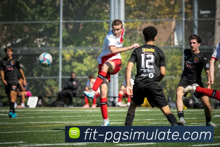 pg模拟器平台生态图